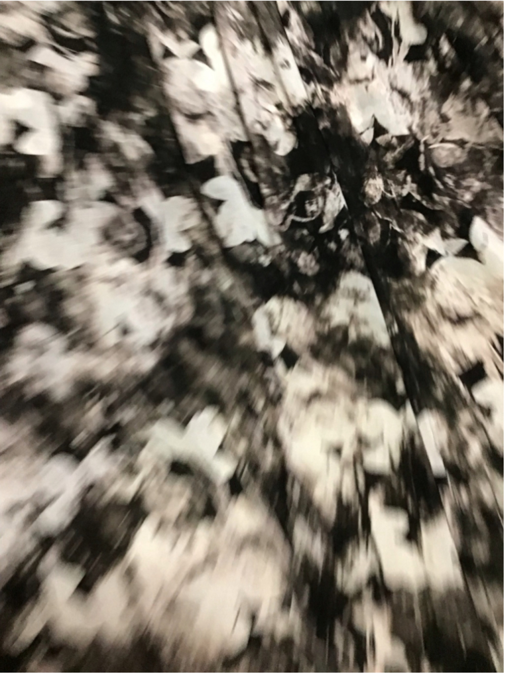 Simply Vera Vera Wang High Low Dress XL Black White Floral Soo Soft! - Picture 9 of 17